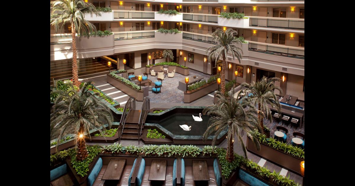 Ofertas, opiniones e imágenes de Embassy Suites by Hilton Houston Near ...