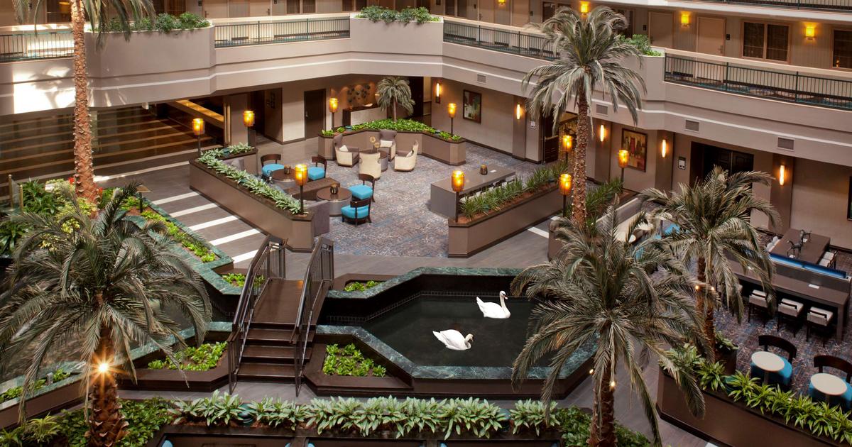 HILTON HOUSTON GALLERIA AREA HOTEL: BOOK YOUR STAY IN HOUSTON AND ENJOY  GREAT RATES