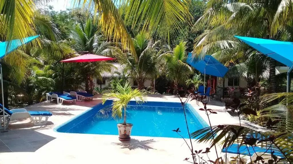Casa de Las Tortugas I Tour Akumal - Akumal - Piscina
