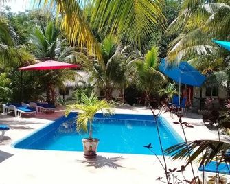 Casa de Las Tortugas I Tour Akumal - Akumal - Pool