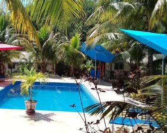 Casa de Las Tortugas I Tour Akumal - Akumal - Piscina