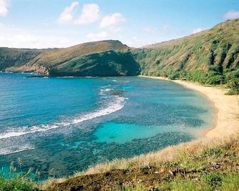 Immersed in nature Home w/ A/C, bbq area, Hale Poola - Honolulu - Strand