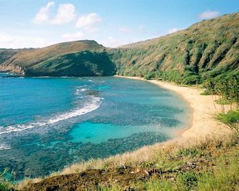 Immersed in nature Home w/ A/C, bbq area, Hale Poola - Honolulu - Beach