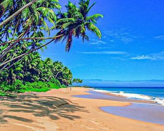 Oasis Ayurveda Resort - Kalutara - Beach