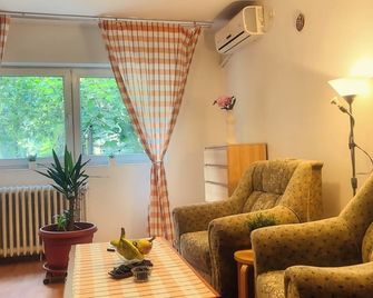 Aviatiei Vintage Charm - Close to Promenada Mall - Bucarest - Sala de estar