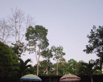 Cabañas Horeb - Tena - Piscine