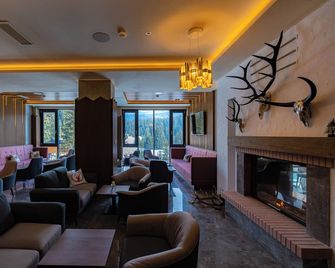 Hotel Belmont - Sinaia - Lounge