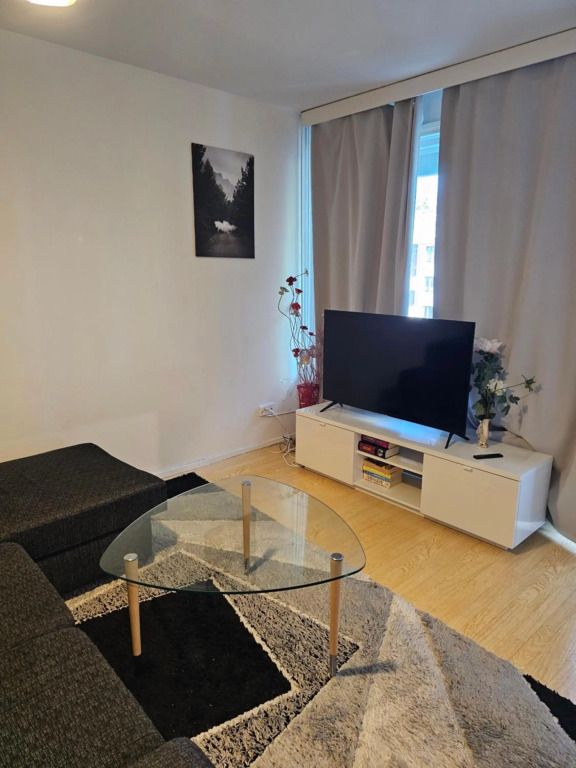 Comfortable 1 bedroom apartment in Helsinki - הלסינקי - סלון