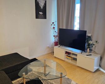 Comfortable 1 bedroom apartment in Helsinki - הלסינקי - סלון