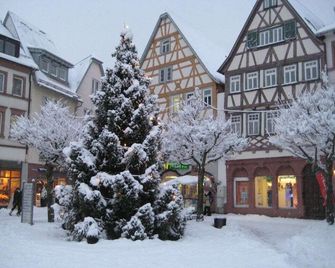 Tranquil apartment near lake - Tauberbischofsheim - Gebäude