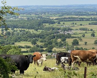 Lower Fifehead Farm - Sturminster Newton