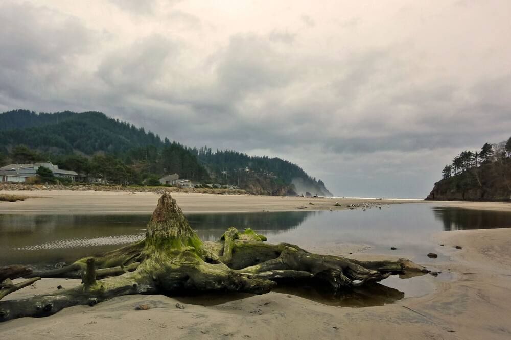 Ocean View Oasis Retreat. Comfort, plus great views! Sleeps 4. - Neskowin - Playa