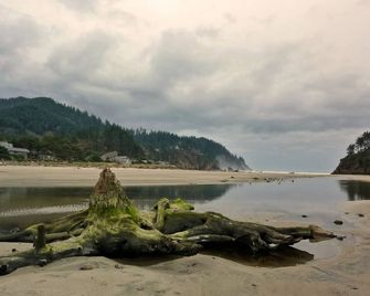 Ocean View Oasis Retreat. Comfort, plus great views! Sleeps 4. - Neskowin - Playa