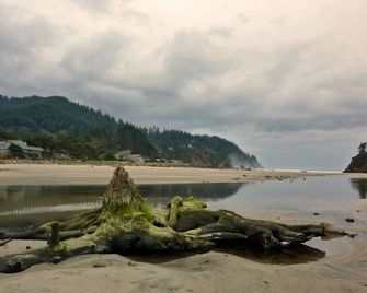 Ocean View Oasis Retreat. Comfort, plus great views! Sleeps 4. - Neskowin - Playa