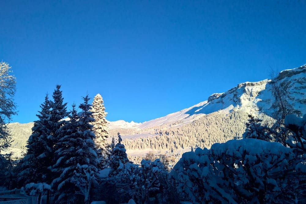 Hotel Cresta - Flims - Widok na zewnątrz