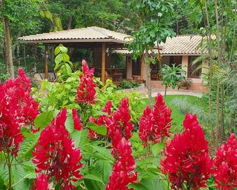 Pousada Vila Serrano - Lençóis - Vista del exterior