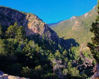 Bear Mountain Ranch at Ramsey Canyon - Hereford - Outdoors view