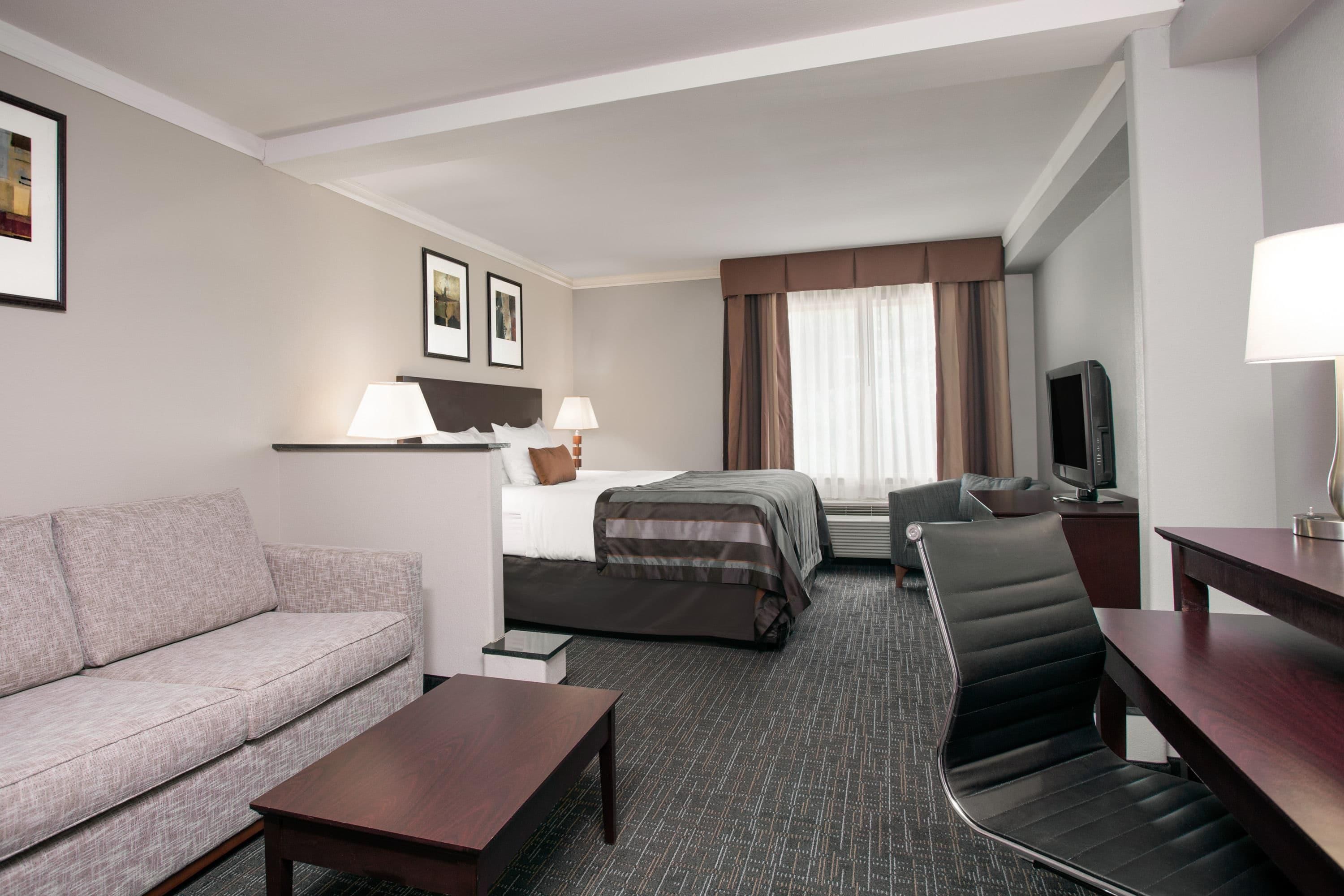 Wingate by Wyndham Athens Near Downtown - Athens - Habitación