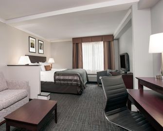Wingate by Wyndham Athens Near Downtown - Athens - Habitación