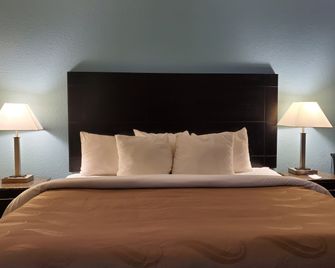 OYO Hotel Knoxville Tn Cedar Bluff I-40 - Knoxville - Bedroom