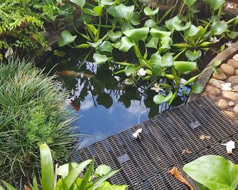 Apart Studios Pontal - Aeroporto 400 M - Centro 2,5 Km - Praia 1,5 Km - Ilhéus - Outdoor view