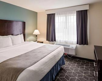 Rodeway Inn - Portage - Slaapkamer
