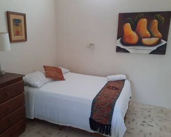 Charming , Economical Studio in wonderful Isla Mujeres with AC, WiFi - Isla Mujeres - Bedroom