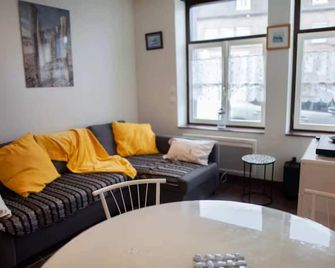 Gite Mer 30 M2 Rez de Chaussée - Bergues - Salon