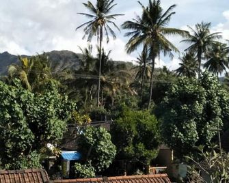 Bali Sari Homestay - Abang - Vista del exterior