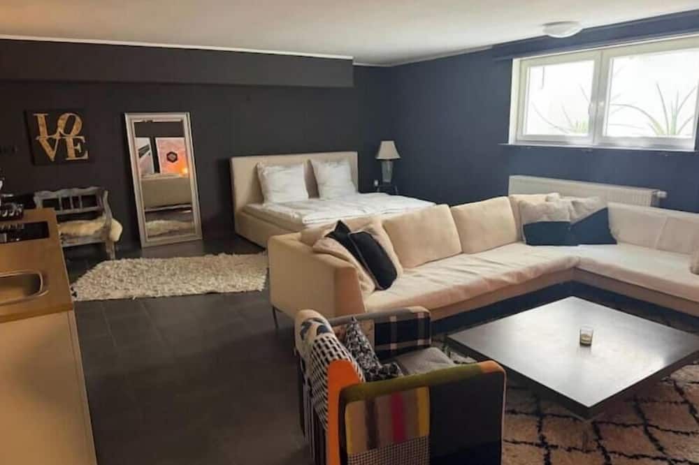 Cozy basement apartment with excellent connections to Frankfurt - Frankfurt am Main - Huiskamer