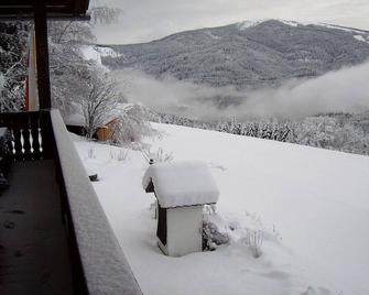 Comfortable Holiday Home Near Ski Area in Arriach - Arriach