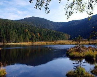Wander und Aktiv Hotel Rösslwirt - Lam - Buiten zicht