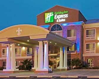 Holiday Inn Express & Suites Alexandria, An IHG Hotel - Alexandrië - Gebouw
