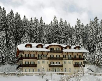 Hotel Plank - San Martino di Castrozza - Building