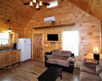 Beautiful Cabin Sleep 6 - Waynesville - Living room