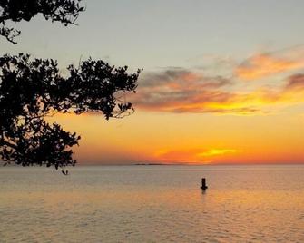 Walk to dwnt 7min to beach king bed Free parking - New Port Richey