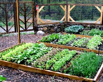 Beautiful Cabin Rooms for Groups, Couples, or Families near Appalachian Trail, Virginia - Pearisburg