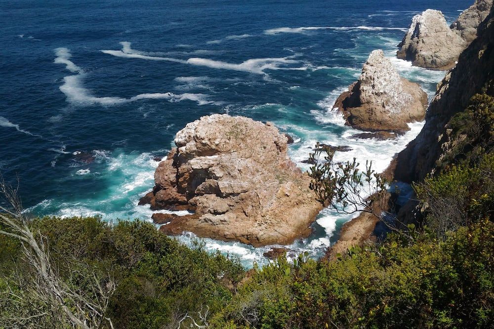 Lily Pond Country Lodge - Plettenberg Bay
