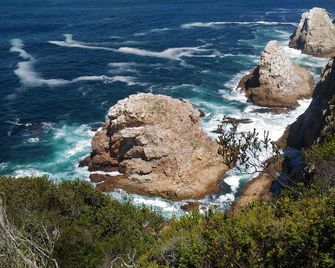 Lily Pond Country Lodge - Plettenberg Bay