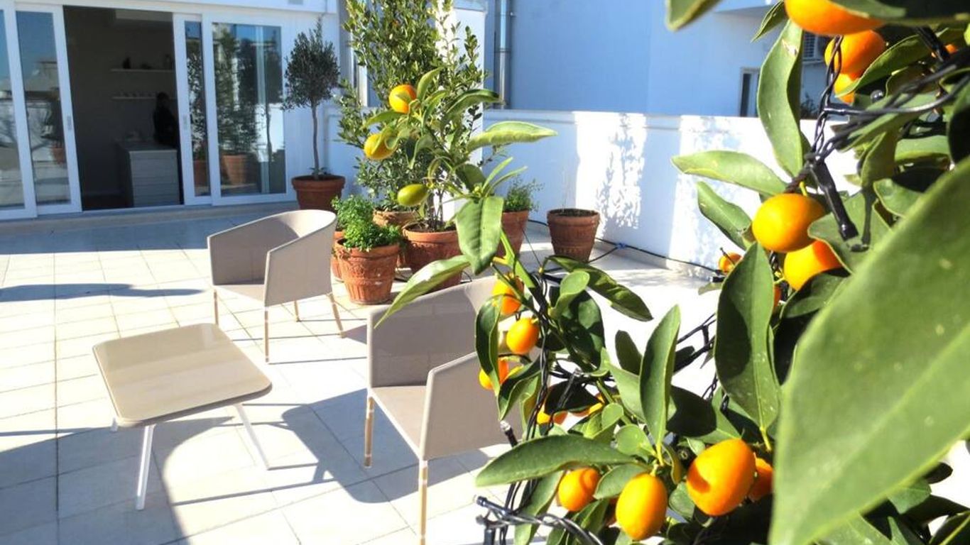 Gatto Bianco Le Terrazze