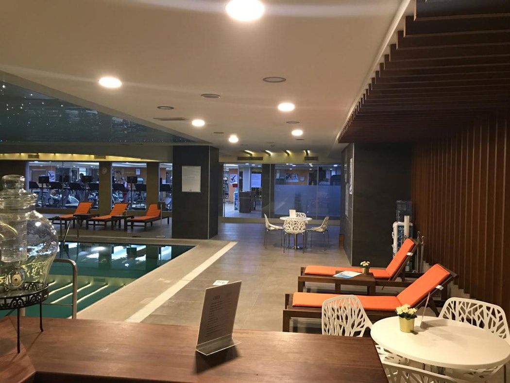 أنيمون كينت تسيجلي أوتل