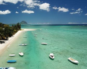 The Bay - Grande Rivière Noire - Beach
