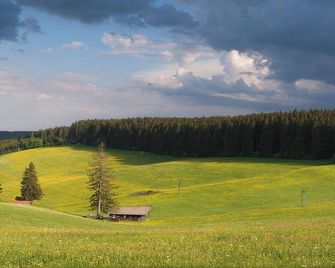 Entire House in Schwarzwald with mountain view, private Sauna, Gym, Garden and Terraces - Unterkirnach - Außenansicht