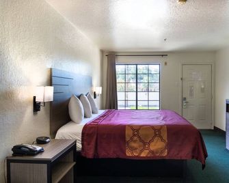 OYO Inn & Suites Medical Center San Antonio - San Antonio - Habitación