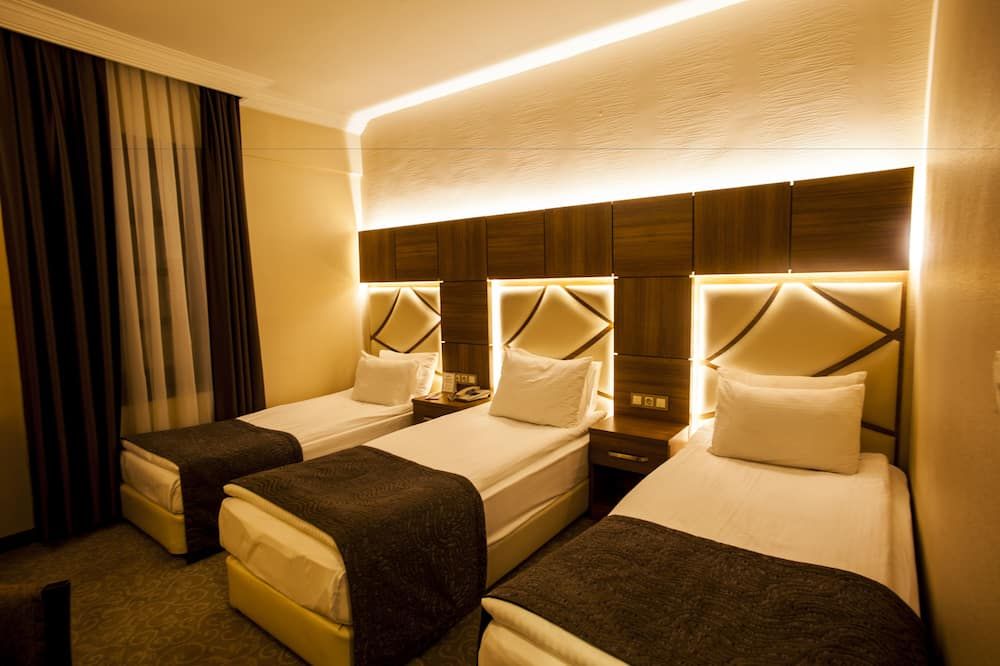 Rumi Hotel - Konya