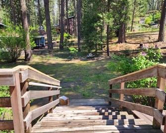 Conveniently located mountain home nestled in the forest at Graeagle - Graeagle