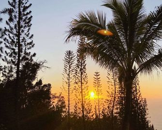 Peaceful farm stay on the hills of West Hawaii overlooking the pacific ocean! - Captain Cook - Außenansicht