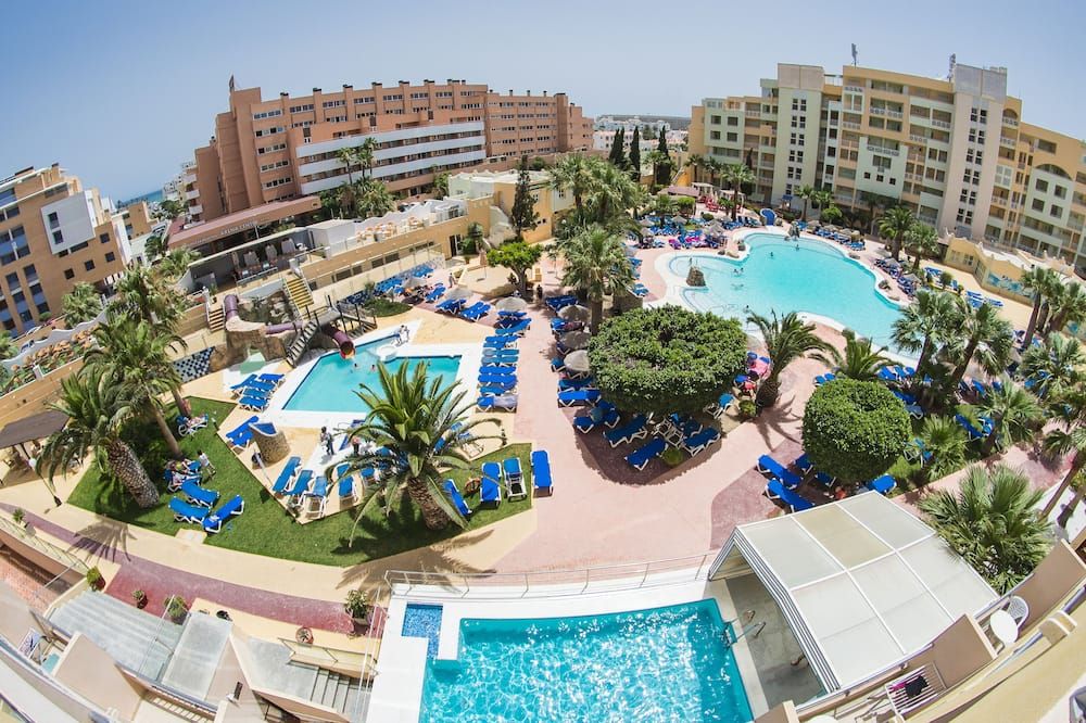 أليغريا فينيكس فاميلي