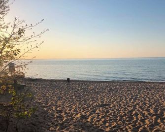 Driftwood on the Lakeshore - Sarnia - Playa