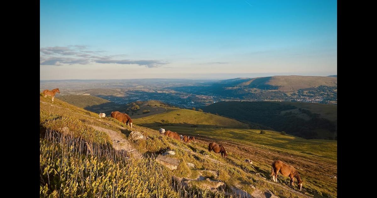 Lamb & Flag Inn in Abergavenny, the United Kingdom from 67 Deals